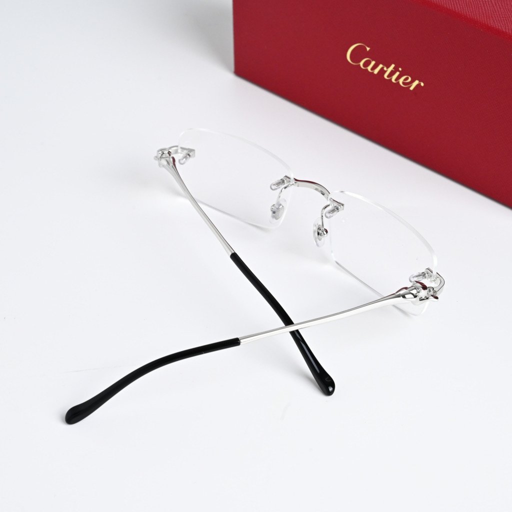 CARTIER CT0281O 002 SILVER – 54-18-140 (4)