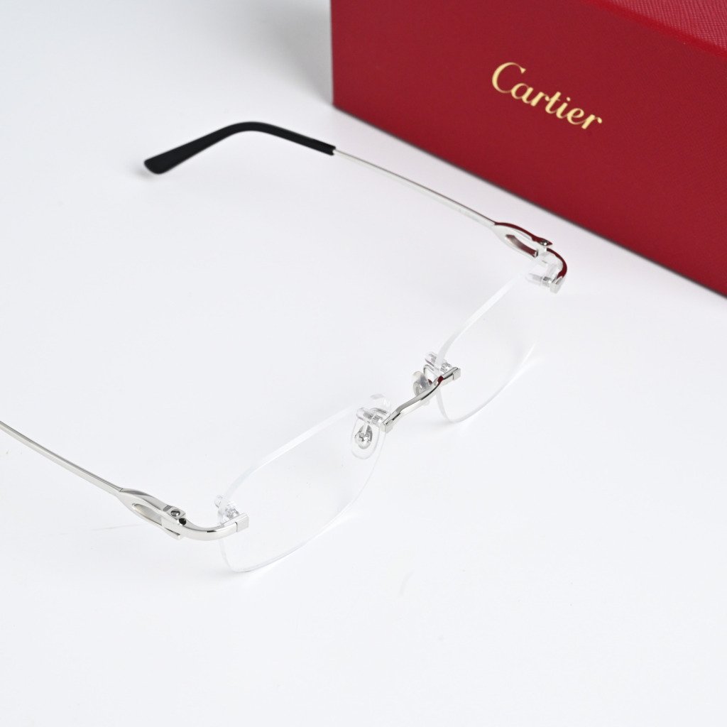 CARTIER CT0290O 004 SILVER – 55-19-140 (5)