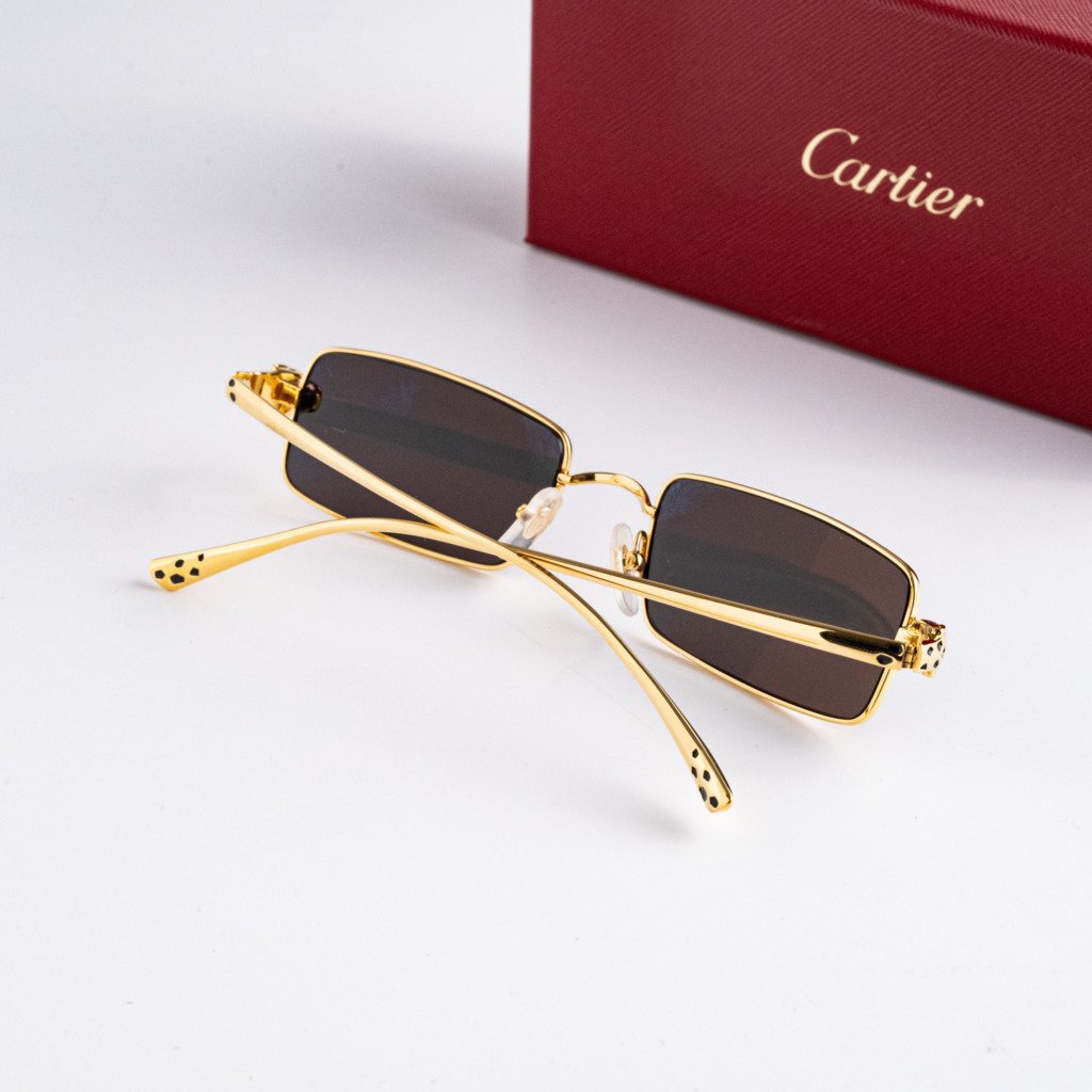 CARTIER CT0473S 001 GOLD GREY – 54-20-140 (3)