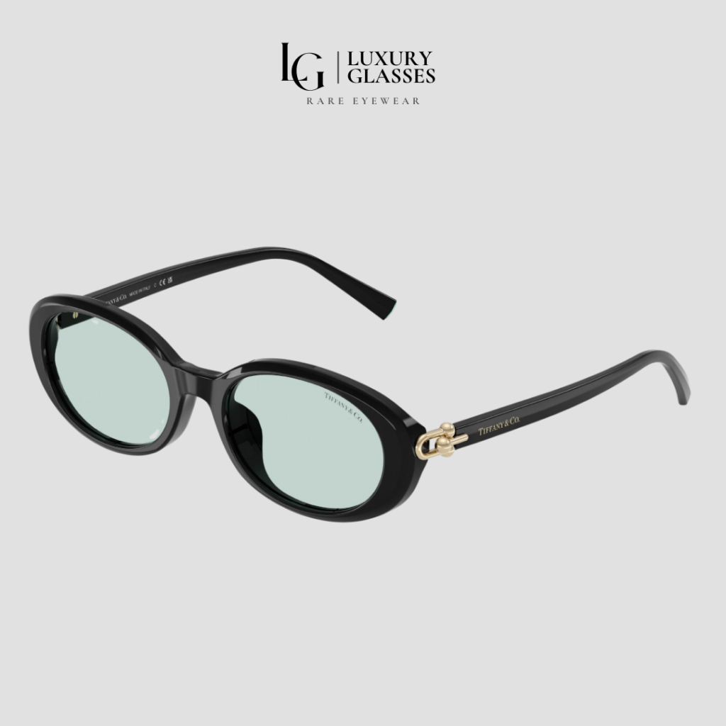 TIFFANY & CO TF4242D 8001D9 BLACK MINT – 54-19-140 (1)