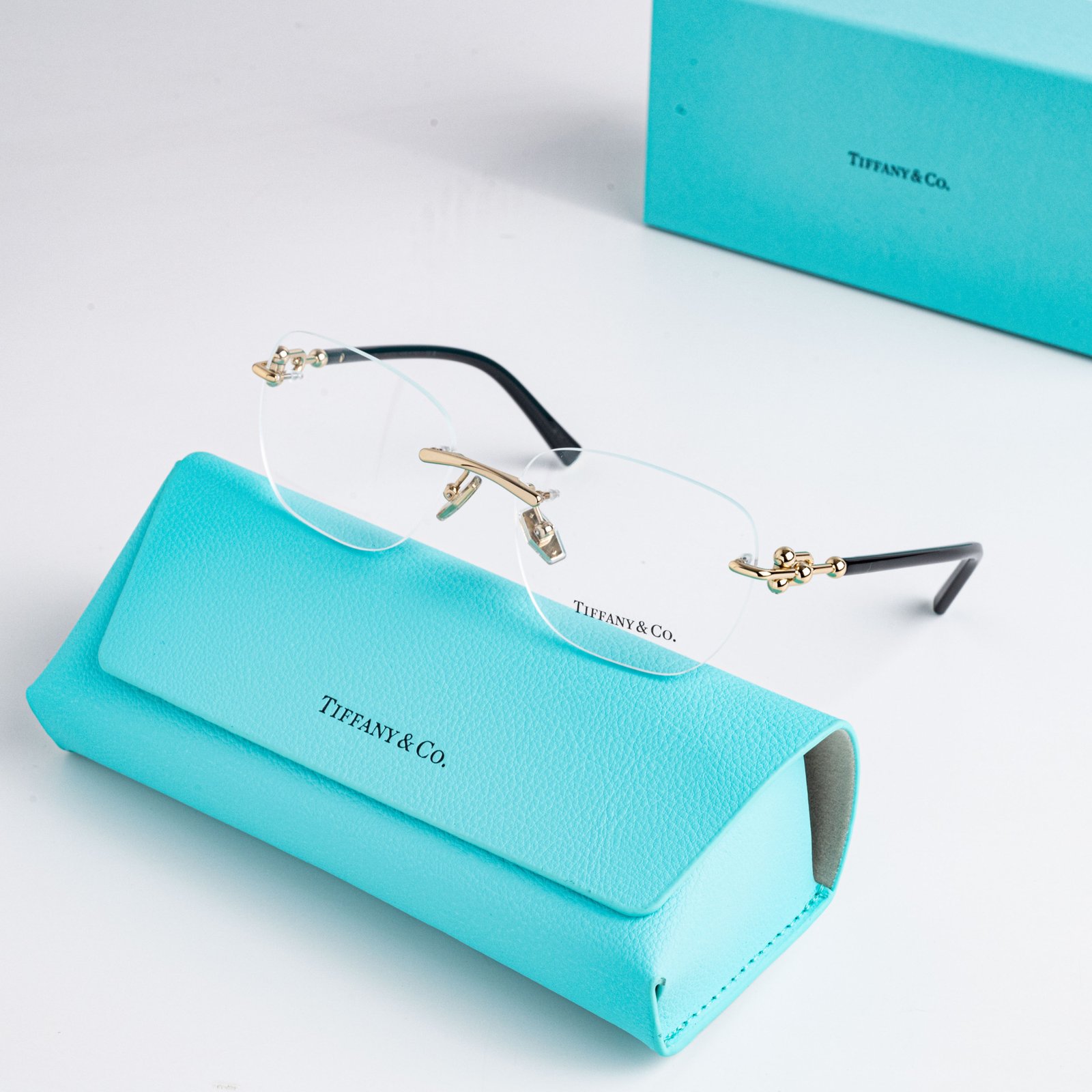 TIFFANY & CO 0TF1170D 6021 PALE GOLD – 54_17_140 (3)