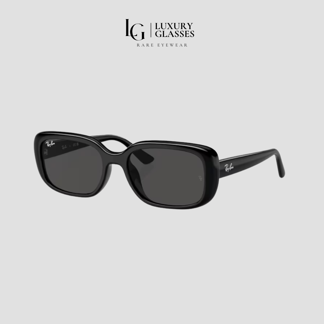 RAYBAN 0RB4421D 667787 BLACK DARK GREY